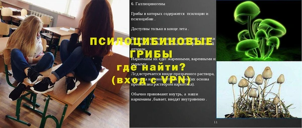 мдпв Богданович