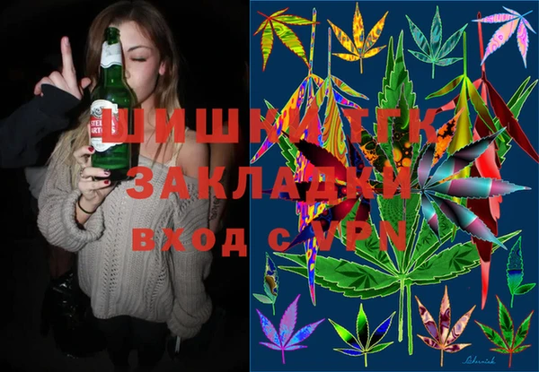 мдпв Богданович
