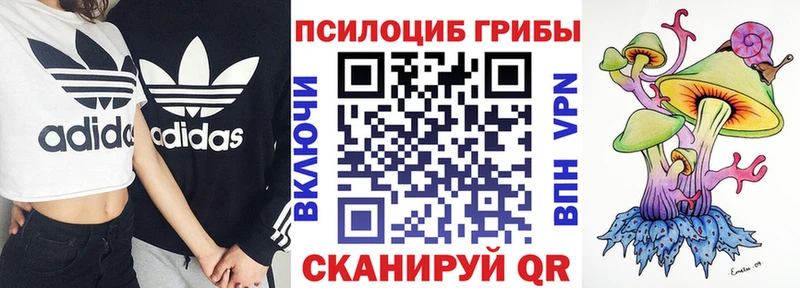 Псилоцибиновые грибы GOLDEN TEACHER  Мосальск 